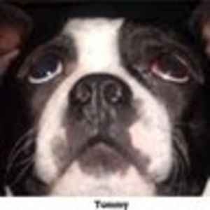 Meet your Posher, Ellen